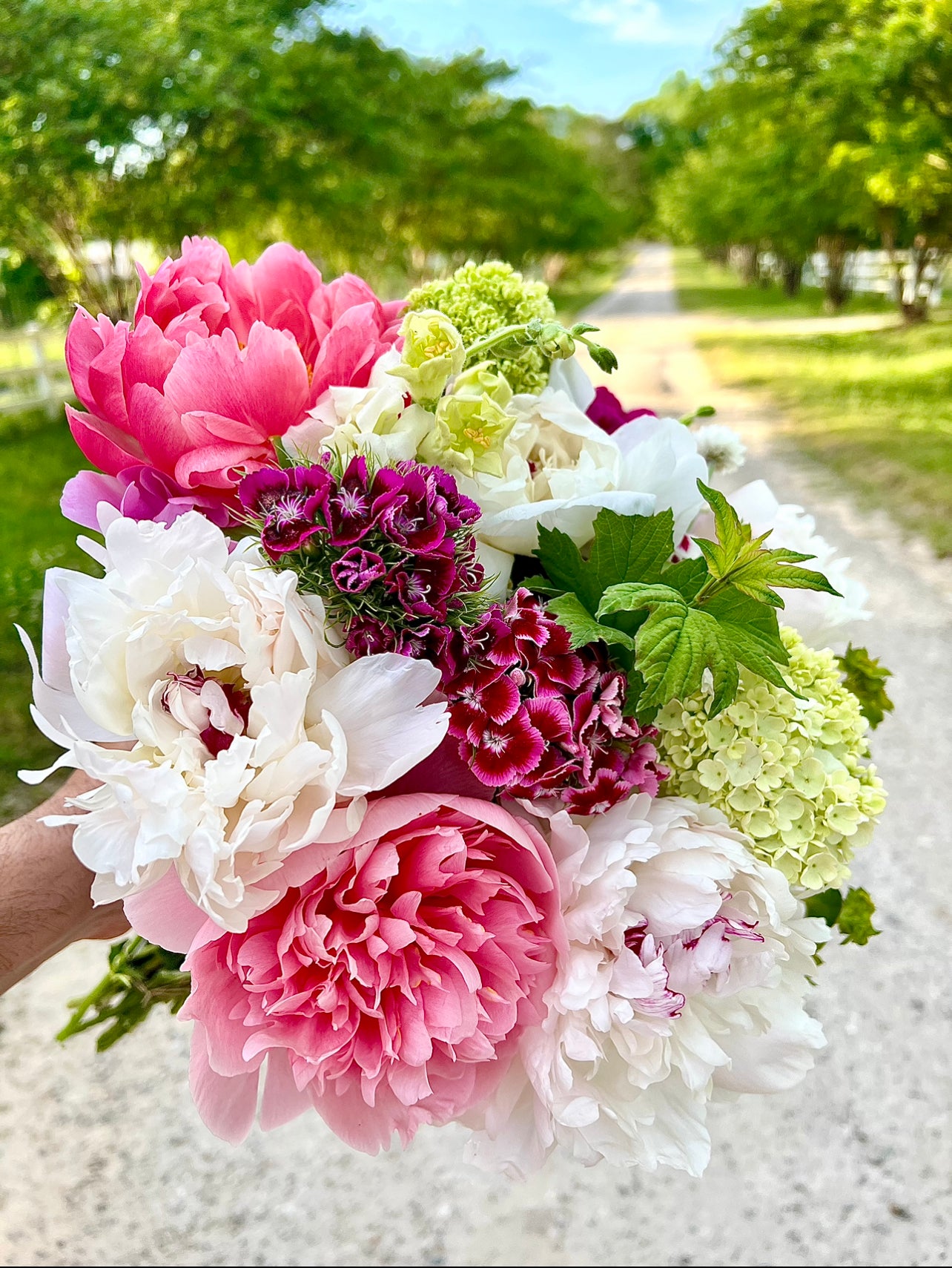 Peony Bouquet In Paper