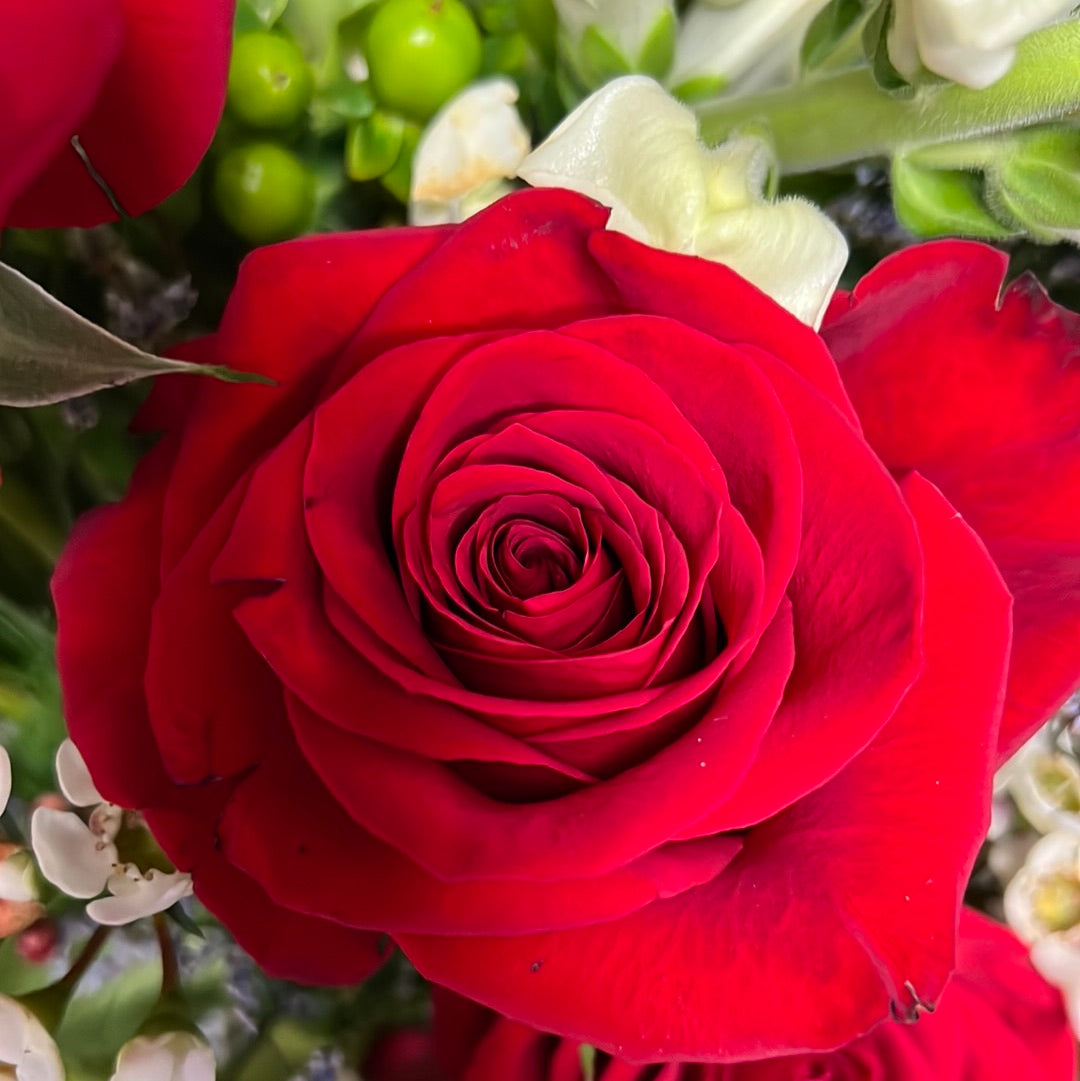 Mother's Day 2 Dz Rose Arrangement